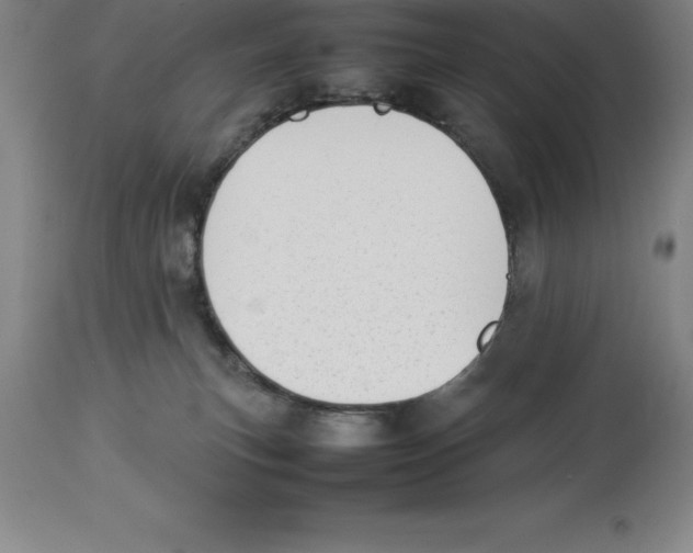 X0000113930183200910231930