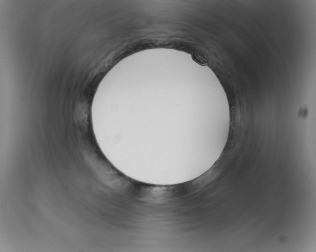X0000113930184200910231930