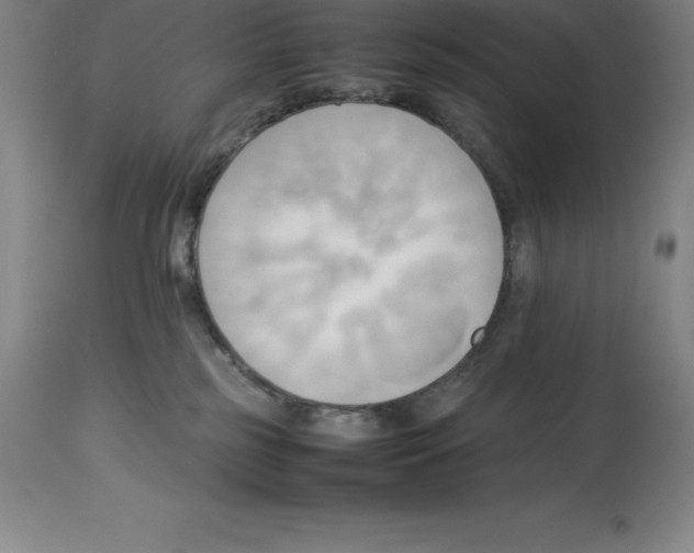 X0000113930185200910231930
