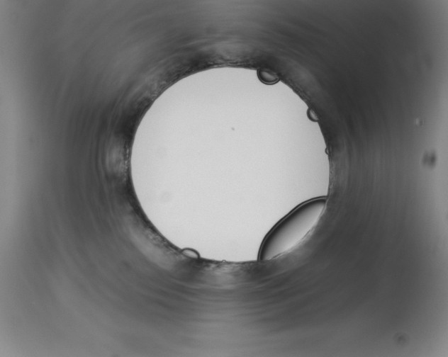 X0000113930186200910231930