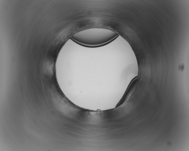 X0000113930188200910231930