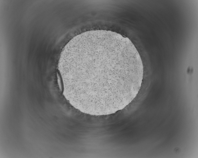 X0000113930192200910231930