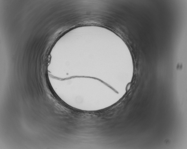 X0000113930193200910231929