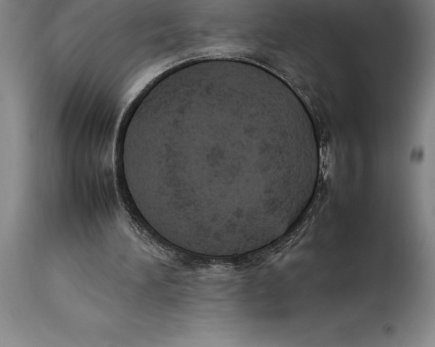 X0000113930196200910231929