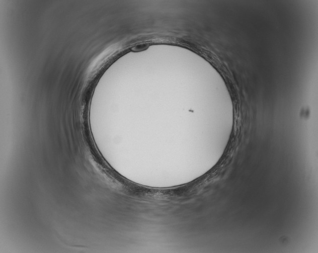 X0000113930197200910231929