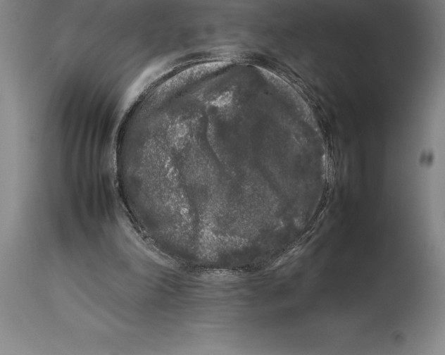 X0000113930198200910231929