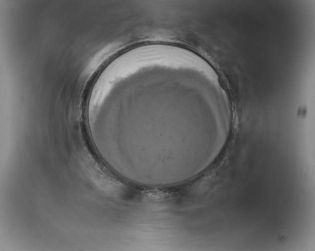 X0000113930199200910231929