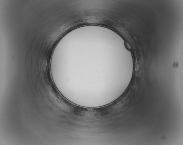 X0000113930201200910231929