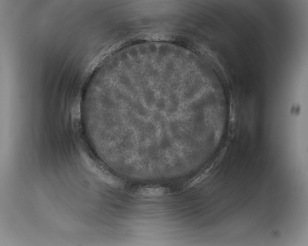 X0000113930202200910231929
