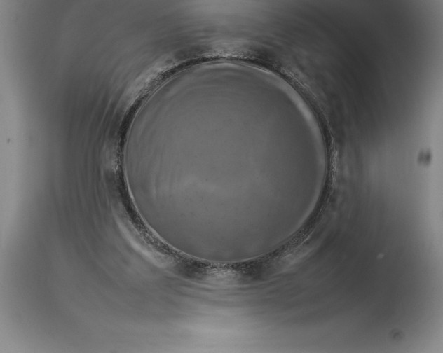 X0000113930203200910231929