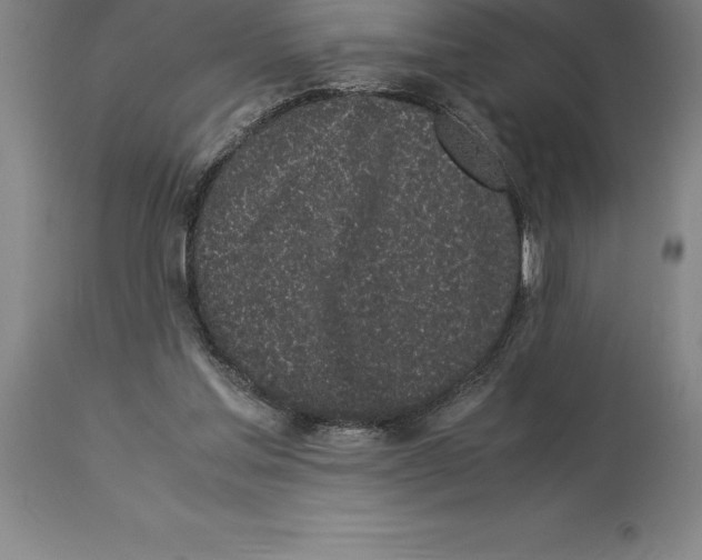 X0000113930205200910231929