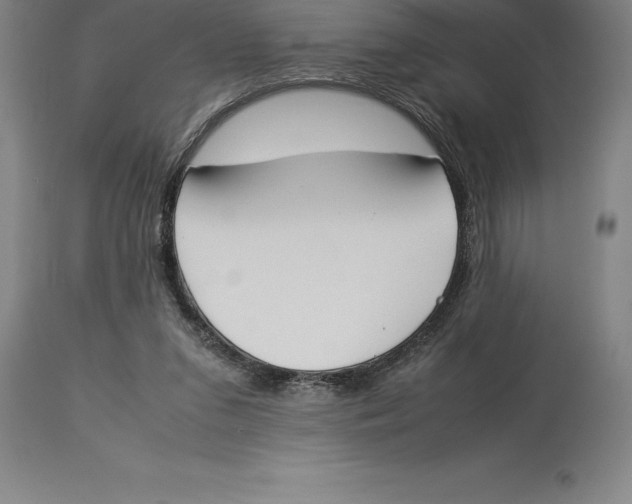 X0000113930207200910231929