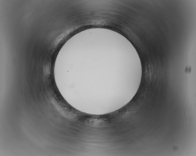 X0000113930208200910231929