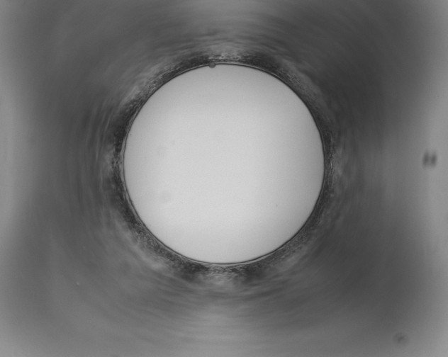 X0000113930209200910231929