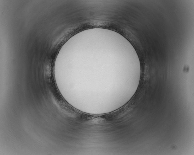 X0000113930210200910231929