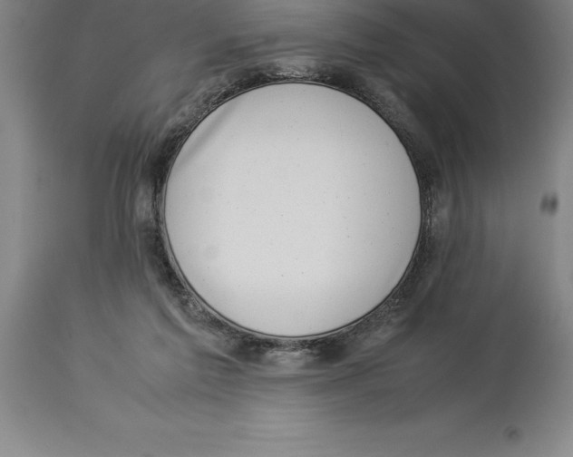 X0000113930213200910231929