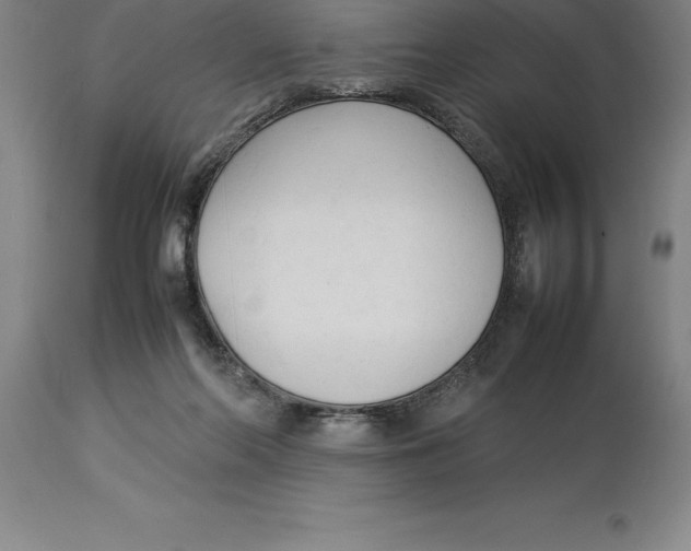 X0000113930214200910231929