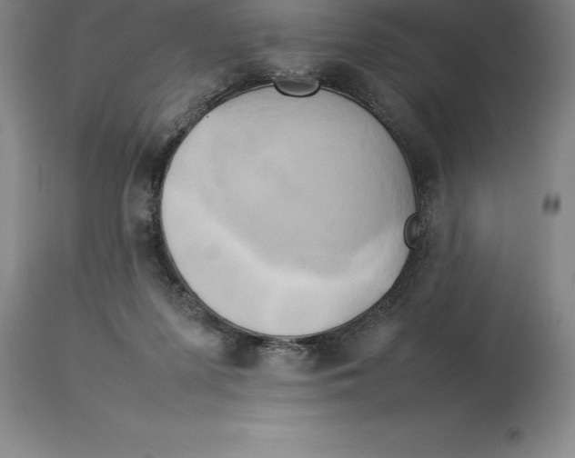 X0000113930215200910231929