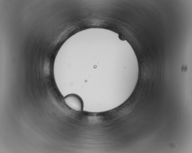 X0000113930216200910231929