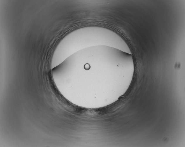 X0000113930217200910231929