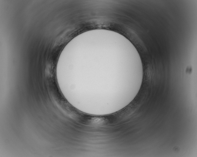 X0000113930218200910231929