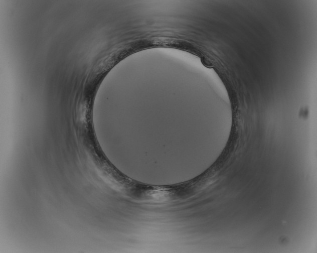 X0000113930219200910231929