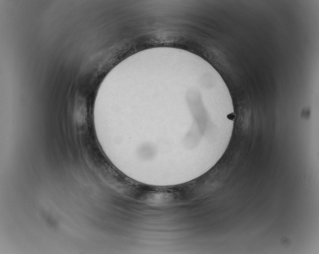 X0000113930220200910231929