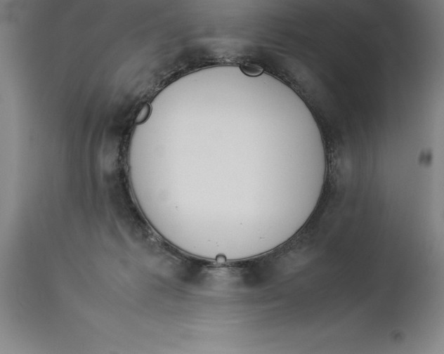 X0000113930221200910231929