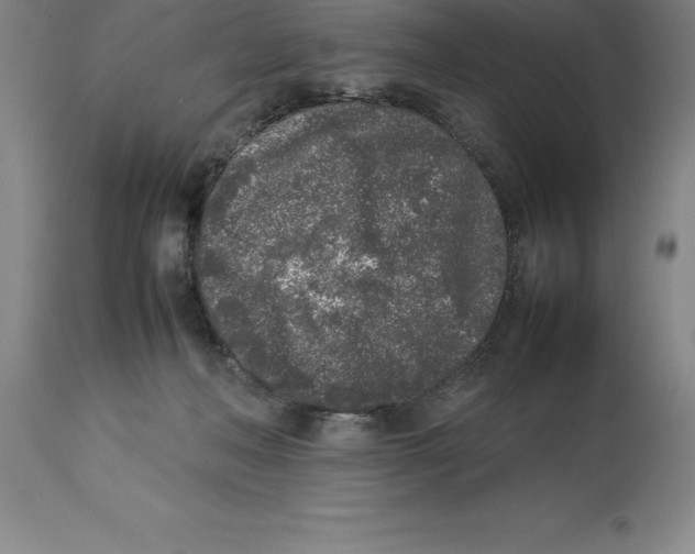X0000113930222200910231929