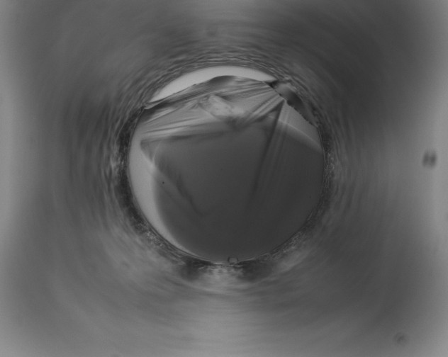 X0000113930223200910231929