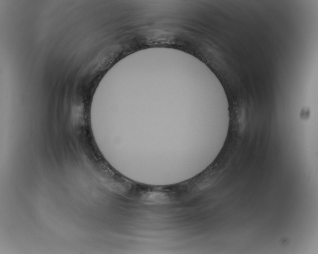 X0000113930224200910231929
