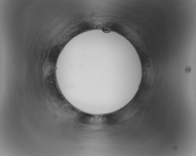 X0000113930225200910231929