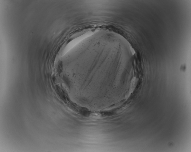 X0000113930227200910231929