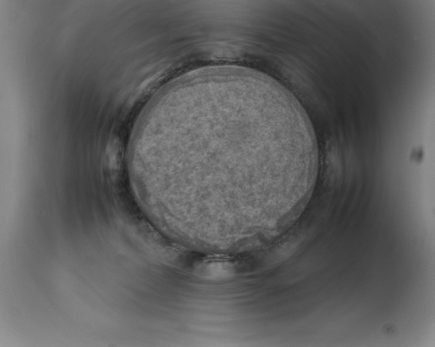 X0000113930228200910231929