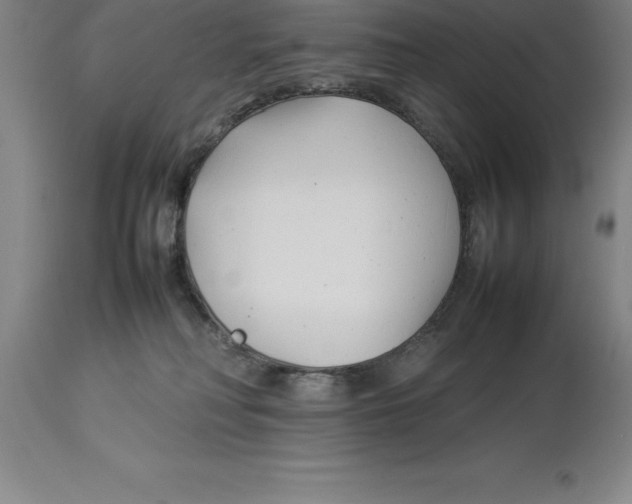X0000113930230200910231928