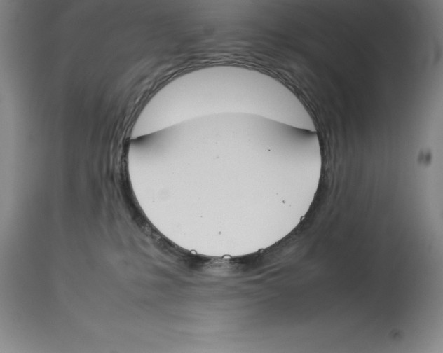 X0000113930231200910231928