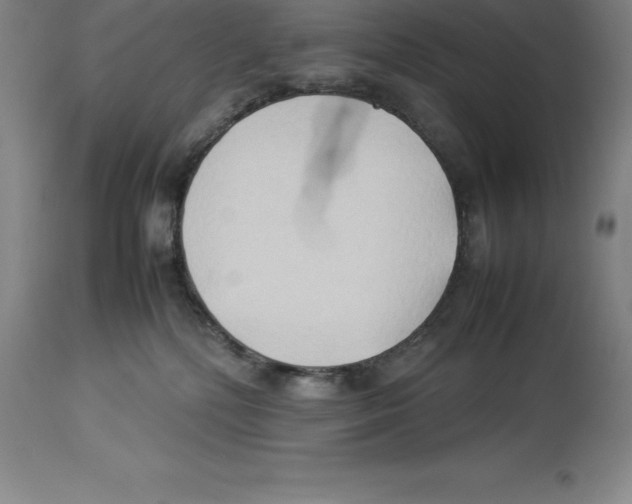 X0000113930232200910231928
