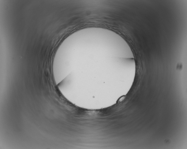 X0000113930233200910231928