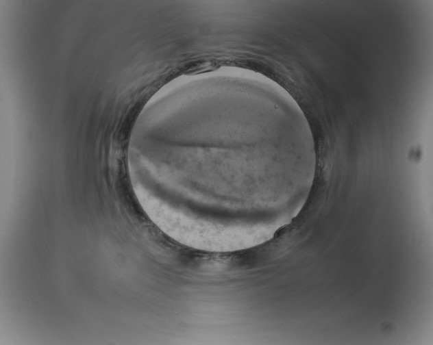 X0000113930235200910231928
