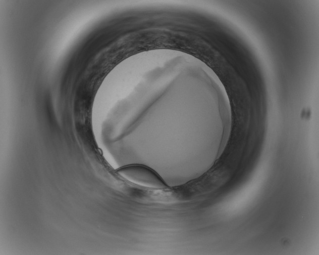 X0000113930239200910231928