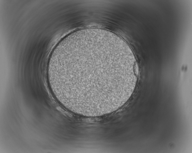 X0000113930241200910231928