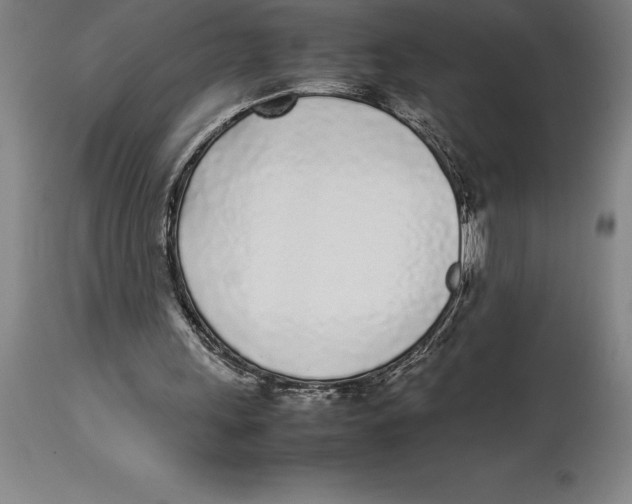 X0000113930243200910231928