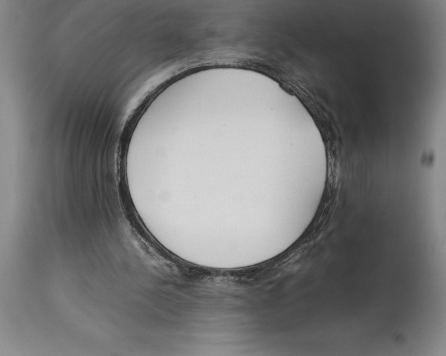 X0000113930244200910231928