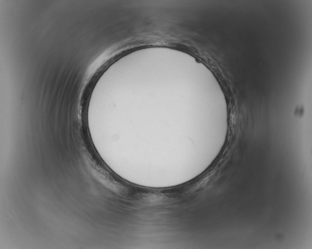 X0000113930246200910231928