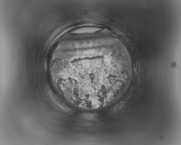 X0000113930247200910231928
