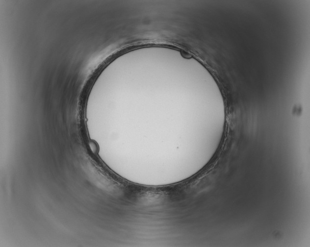 X0000113930248200910231928