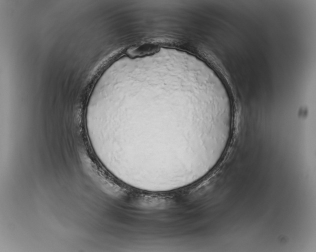 X0000113930249200910231928