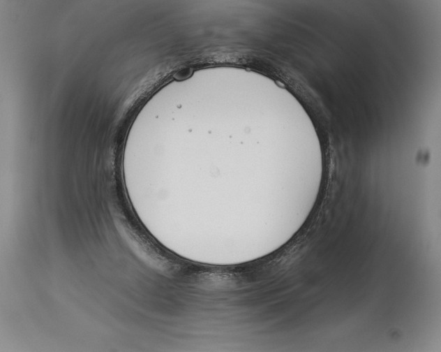 X0000113930250200910231928