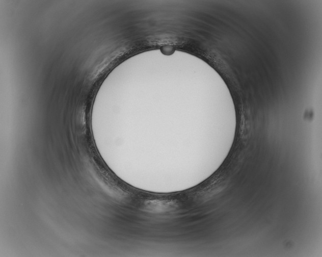 X0000113930251200910231928