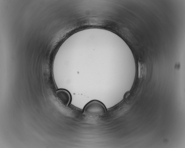X0000113930252200910231928